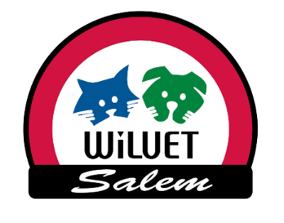 Wilvet Salem